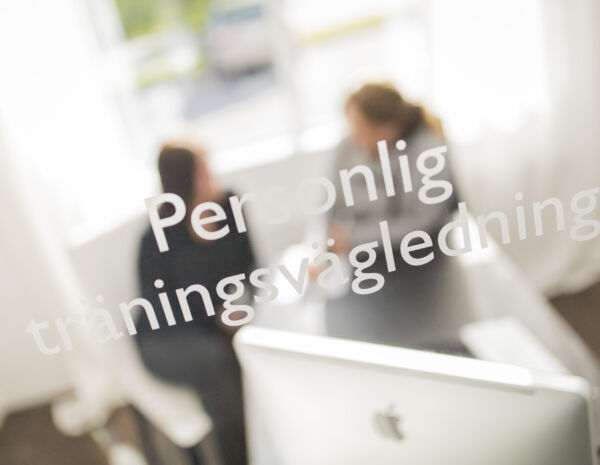 Personlig träningsvägledning