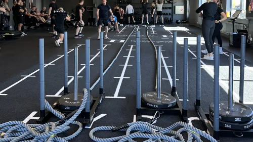 Functional Zone_2667