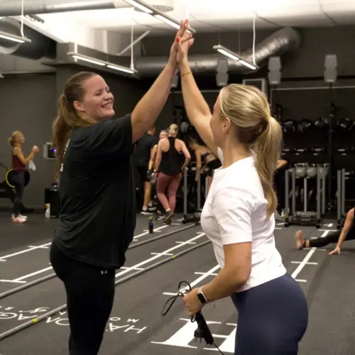 HIGH FIVE